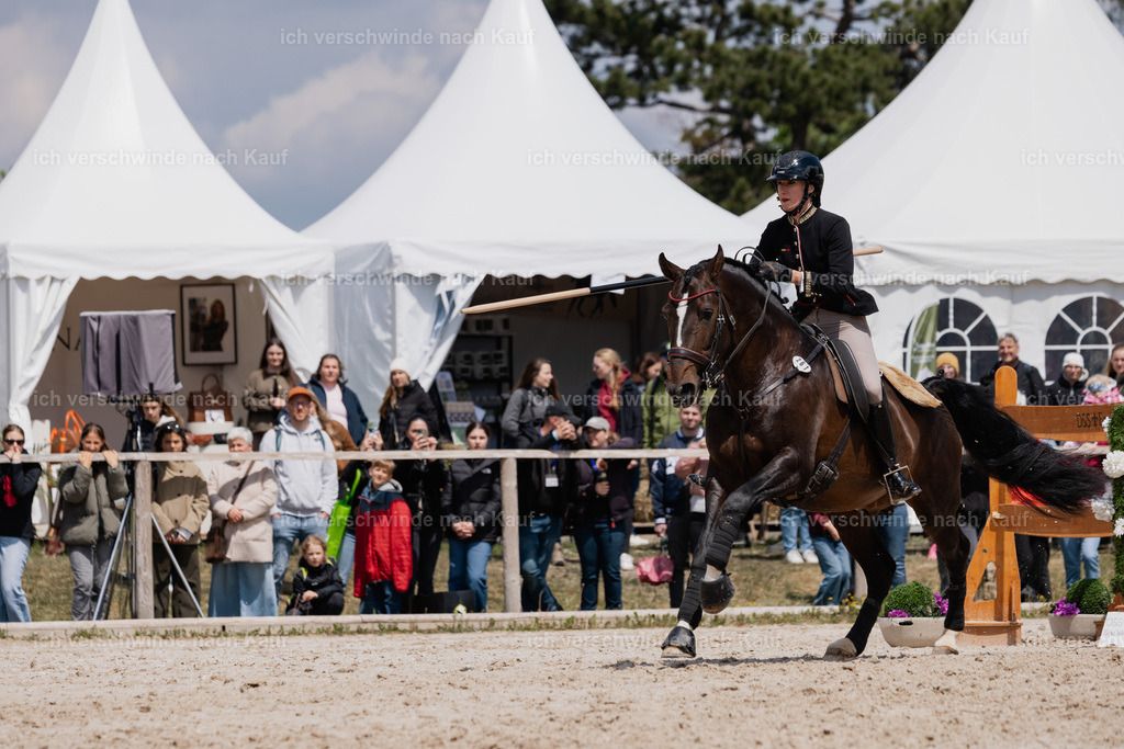 PI26_SP_StoibphotographyC2_C3531.CR3 | working equitationturnier fotograf videograf stoibphotography marixx film working equitation deutschland reitsport turnierfotografie eventfotografie equestrian events