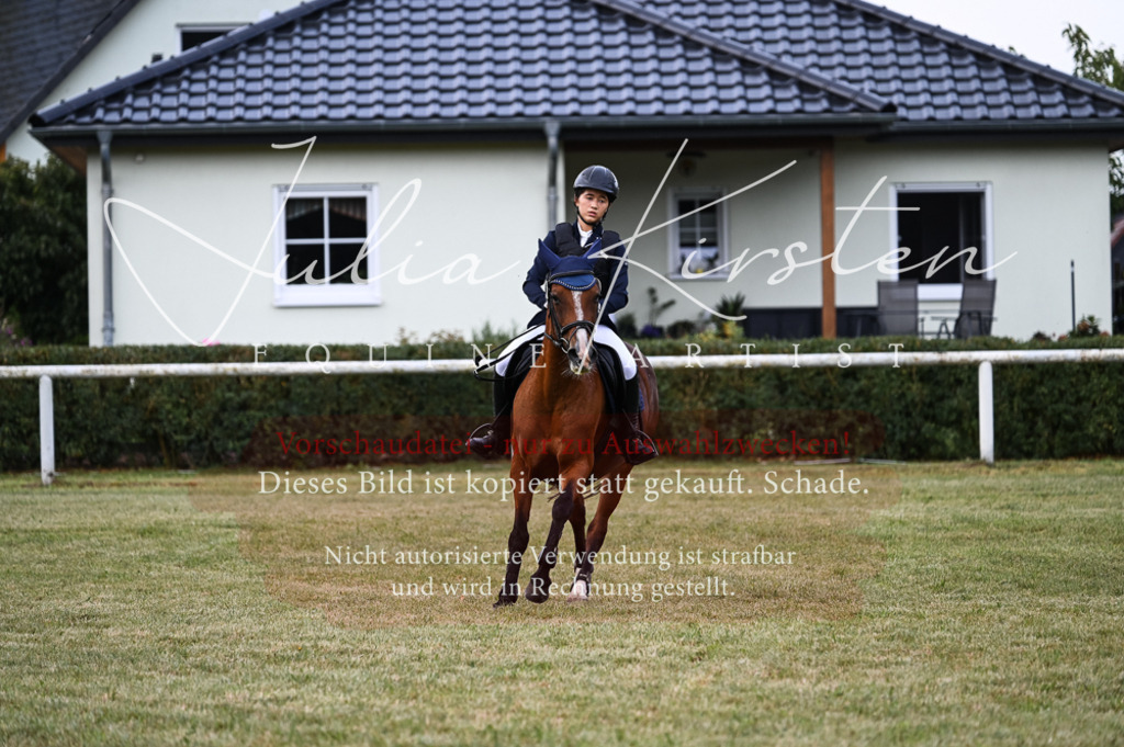 DSC_5488 | Pferde- und Turnierfotografie in Westsachsen. Pferdeportraits, Auftragszeichnungen und intuitive Kunst.