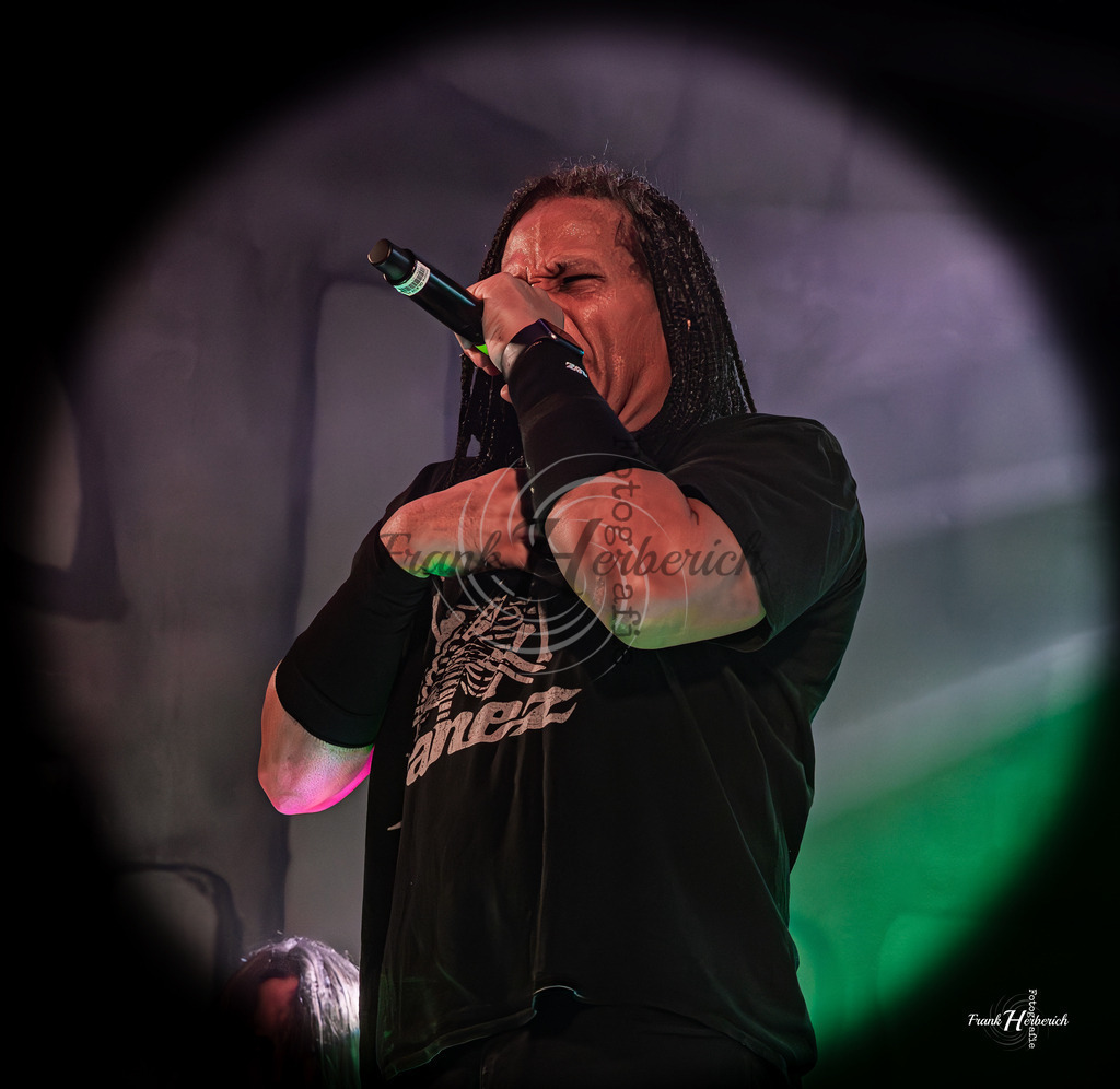 F.U.C.K Band | Frank Herberich Fotografie, Frank Herberich, Fotografie, Hochzeit, Portrait, St. Peter Ording, Ording, Westerhever, Nordsee, Frank Fotografie, Hardheim,  Odenwald,Walldürn, Band,Eventfotografie - Realisiert mit Pictrs.com