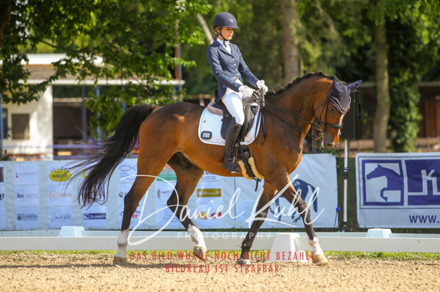 DKP41180 | Turniersportfotografie; Pferdefotografie; Dressurfotografie