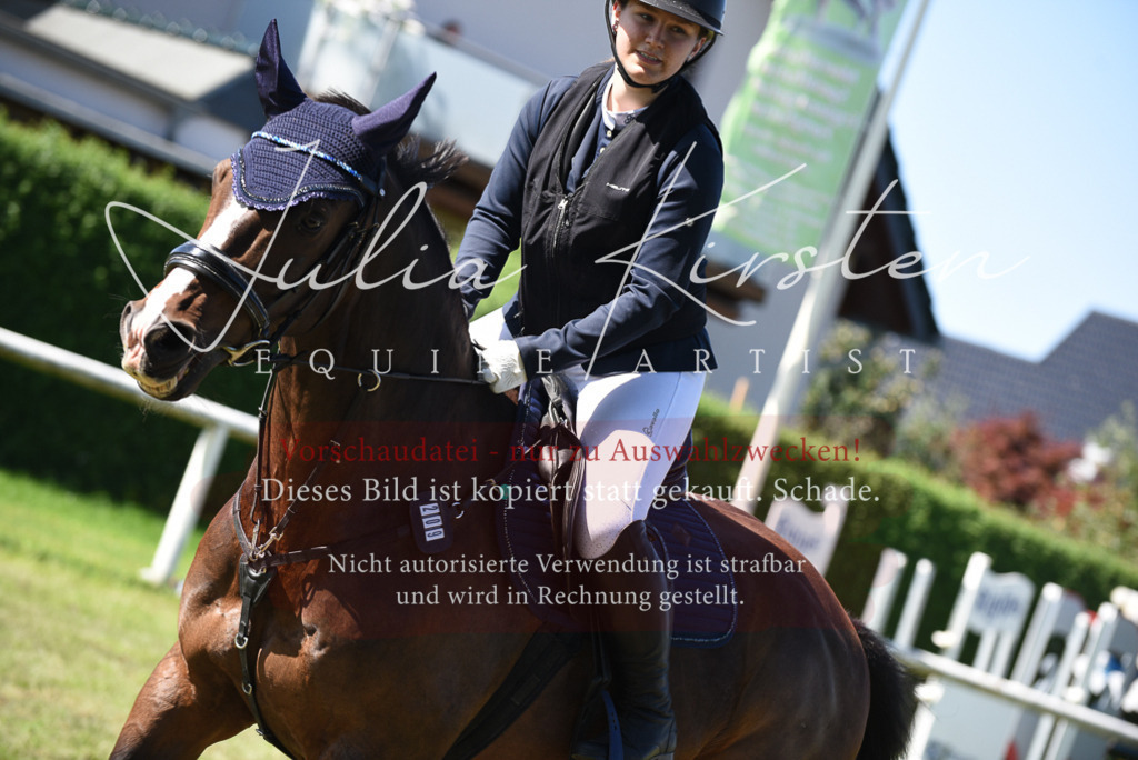 DSC_9387 | Pferde- und Turnierfotografie in Westsachsen. Pferdeportraits, Auftragszeichnungen und intuitive Kunst.