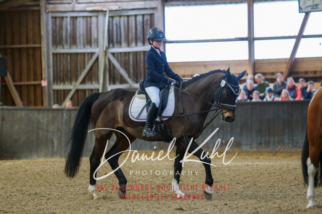 IMG_0849 | Turniersportfotografie; Pferdefotografie; Dressurfotografie