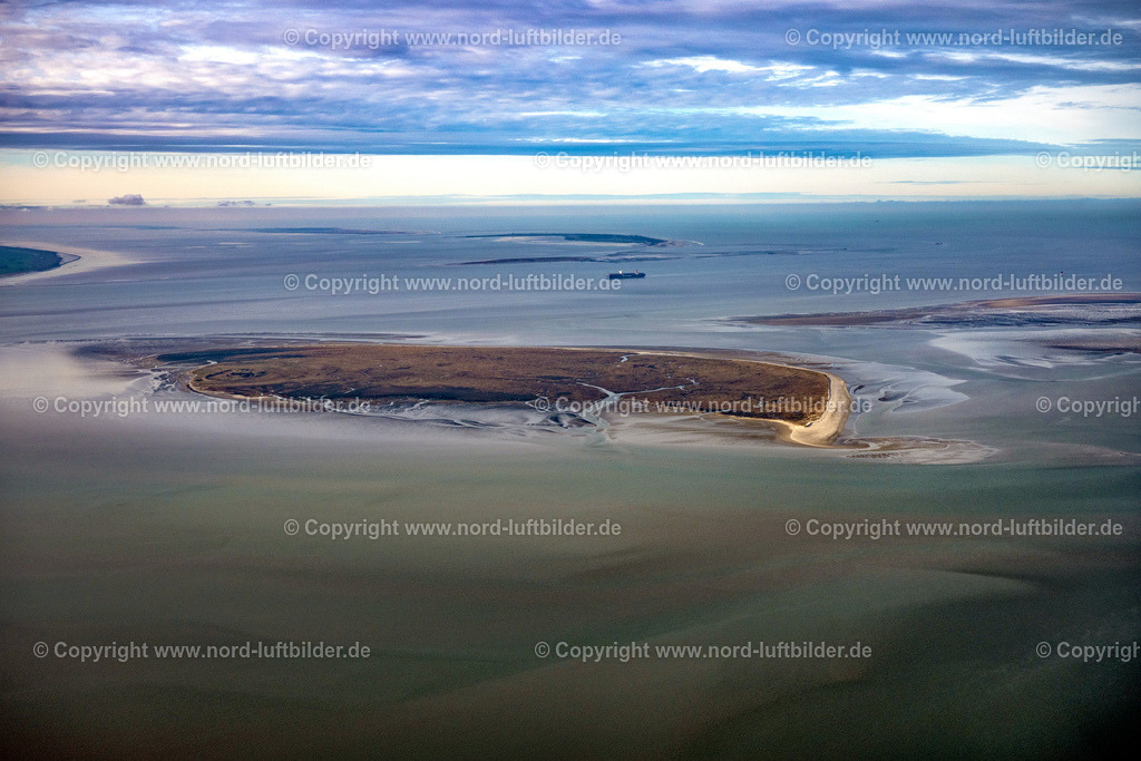 Mellum_Insel_ELS_3593040223 | BUTJADINGEN 04.02.2023 Küstenbereich der unbwohnten Insel Mellum in Wangerland im Bundesland Niedersachsen, Deutschland. Seit 1950 besteht die  Naturschutzstation Mellum. // Coastal area of the Mellum Island in Wangerland in the state Lower Saxony, Germany. Foto: Martin Elsen