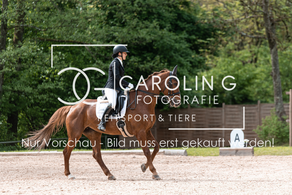 DSC_1991 | Turnierfotografin Carolin Gieschke, Turnierfotografie Carolin G Fotografie, Turnierfotos Kirchheim/Teck, Esslingen, Stuttgart, Bodenseekreis