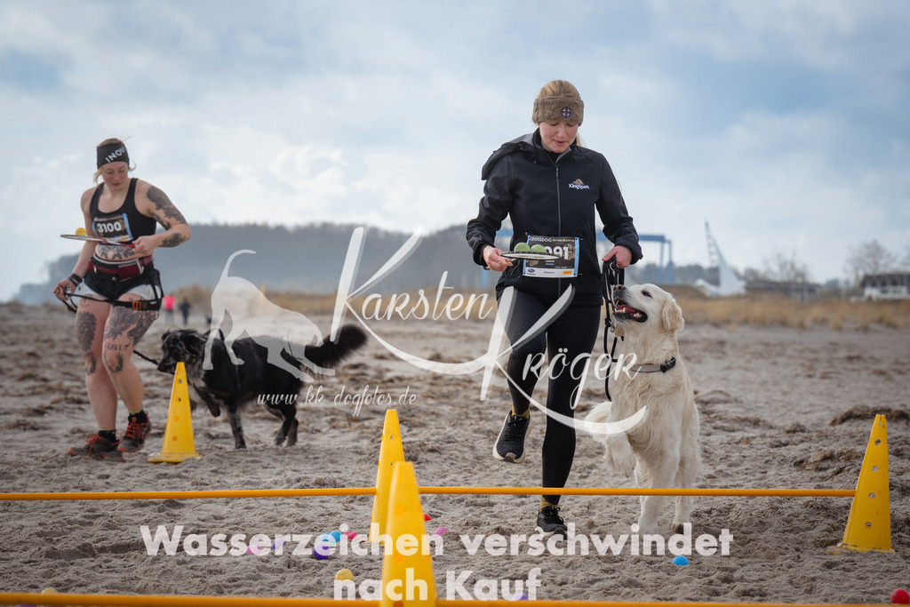 1228_ZZ96743 | kk-dogfotos