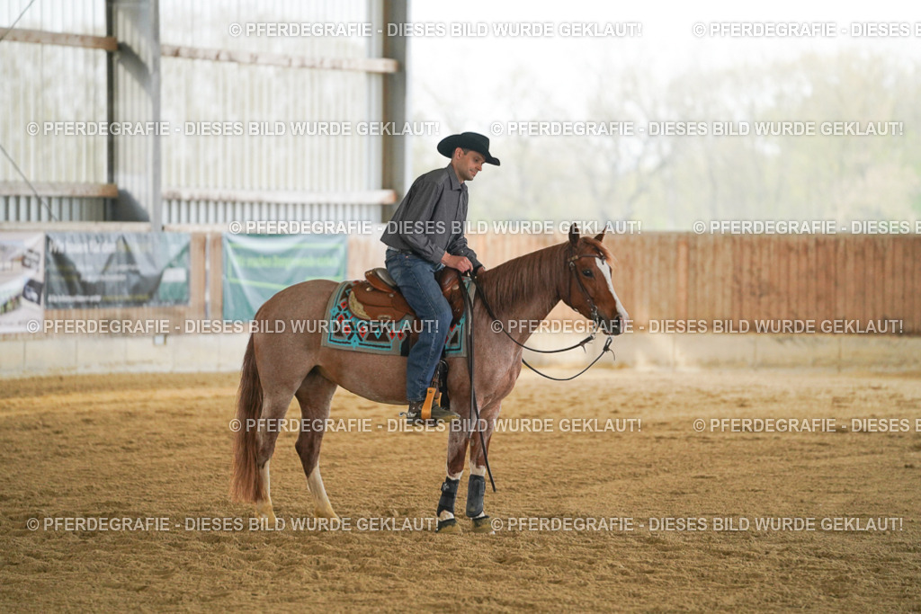 DSC08183 | Pferdegrafie