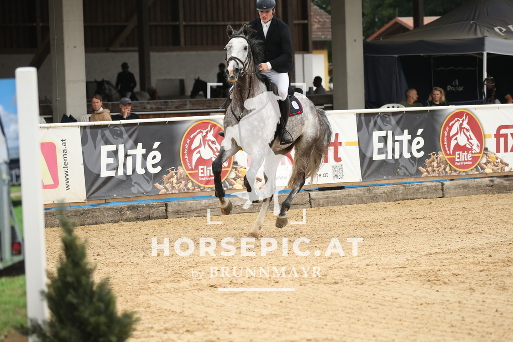 DL2Q7366 | Willkommen bei Brunnmayr - Design & Fotografie – Ihrem Spezialisten für Reitturniere und Pferdeveranstaltungen in Oberösterreich, Salzburg und Bayern! Seit über 17 Jahren sind wir leidenschaftlich dabei.