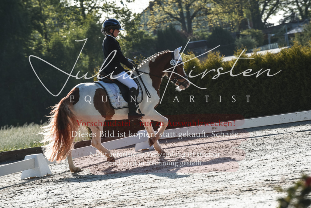 20230518_JK-Röhrsdorf-09-0308 | Pferde- und Turnierfotografie in Westsachsen. Pferdeportraits, Auftragszeichnungen und intuitive Kunst.