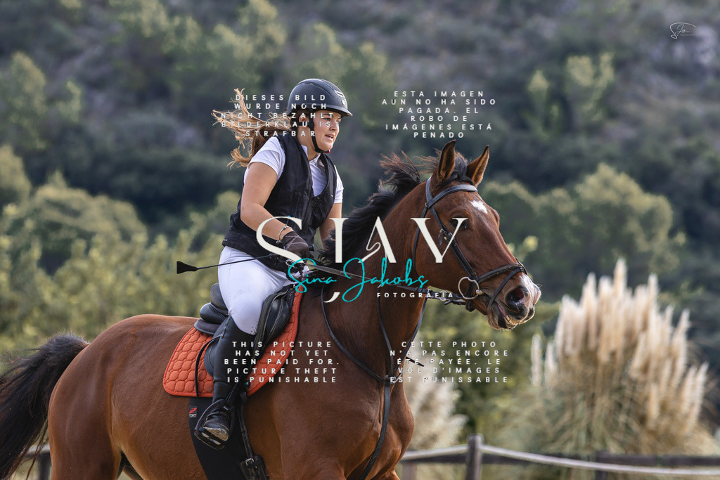 IMG_5377 | s-jay-photography - Realisiert mit Pictrs.com