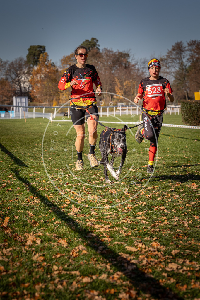CaniXpix_0L8A7150 | Hundefotografie, Tierfotograf, Pfotenfotografie, Fotoshooting Hund, Hunde Portrait, Hundesport, Hundeportraits, Heideshooting, Hunde, Sportfotograf, Hundefotograf, Turnierhundsport, THS,  - Realisiert mit Pictrs.com