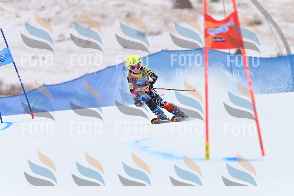 BGV_2674 | holidayphoto