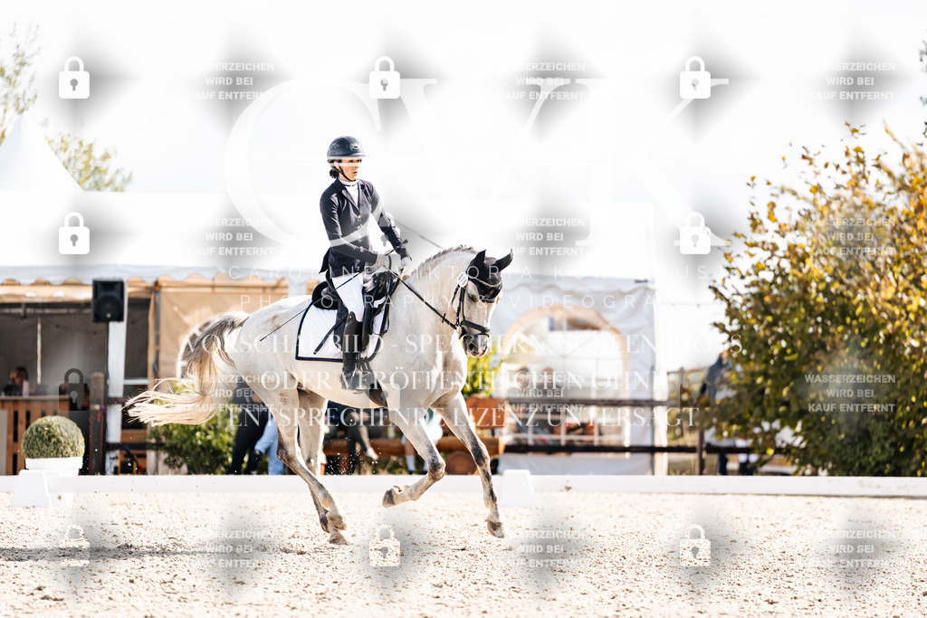 CK902042 | Turnierfotografie Pferdefotografie Trier Rheinland-Pfalz Pferdesport Reitsport Tierfotografie Sportfotografie Pferdevideo Pferdevideografie Equestrianvideography equestrianphotography  - Realisiert mit Pictrs.com