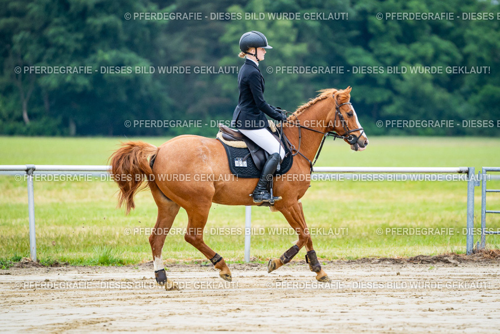 DSC01600 | Pferdegrafie