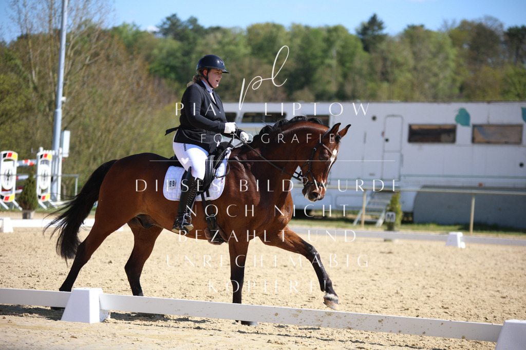 IMGT7819 | pl-fotografie