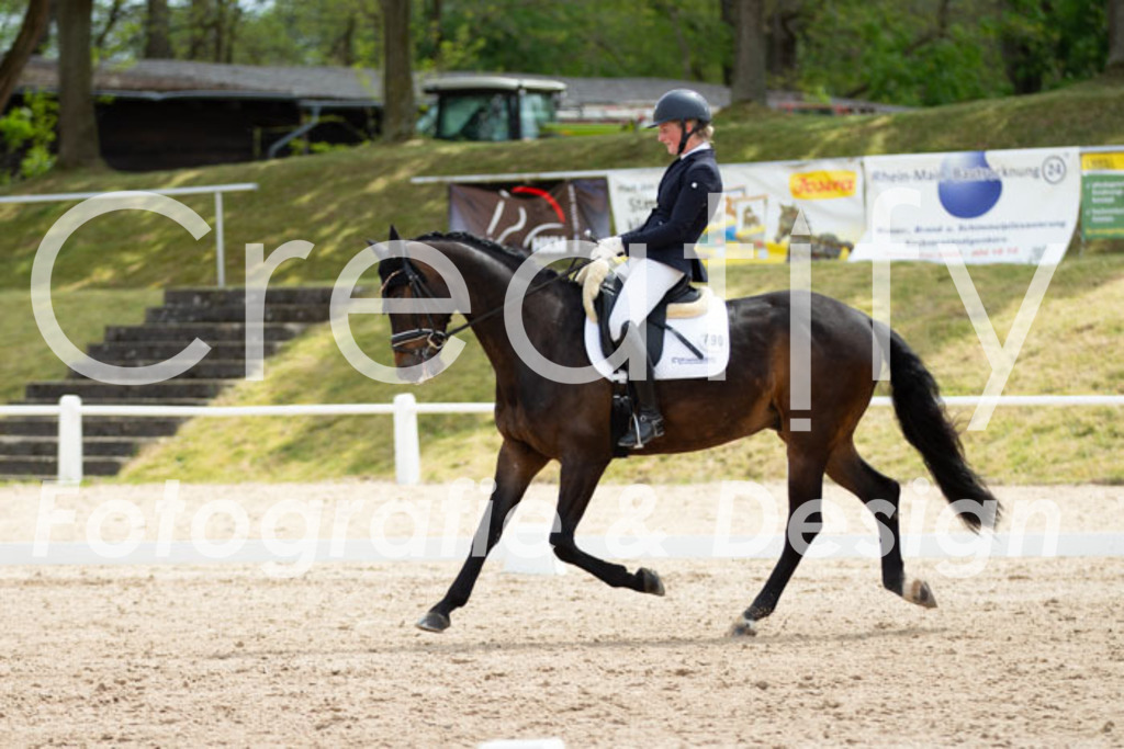 IMG_2666 | Creatify Fotografie