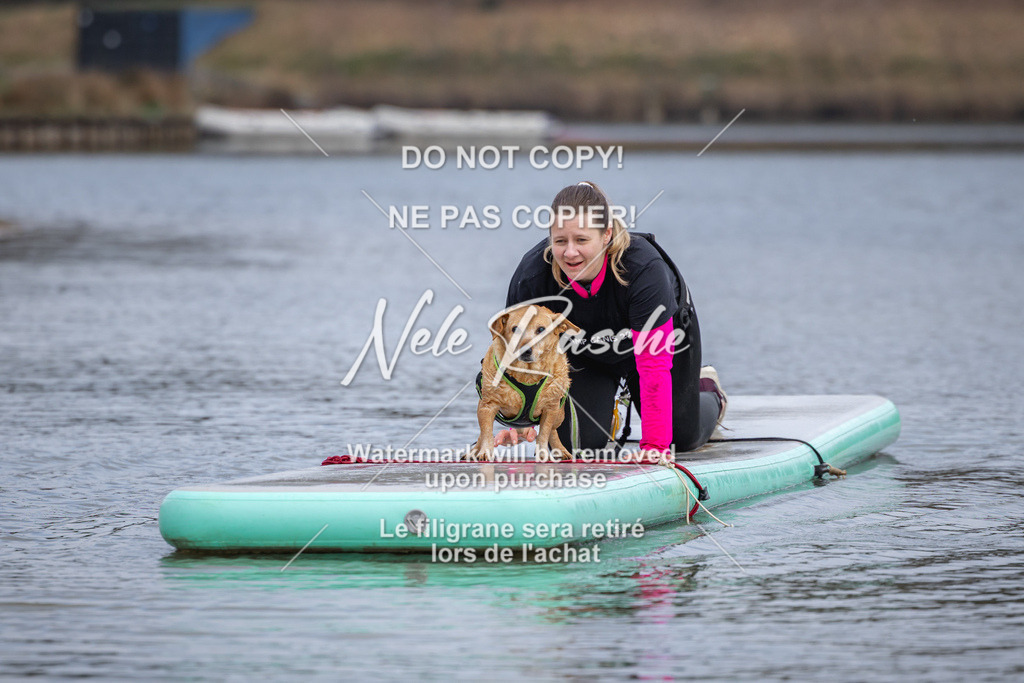 nelerasche_Hulsbeek_Sa1600-1700_564 | nelerasche