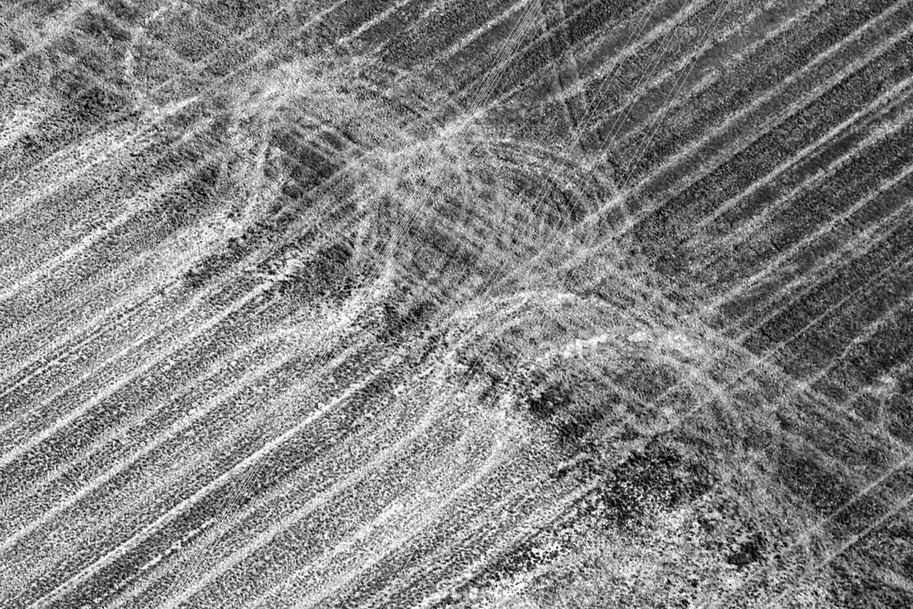 Nature-Arts-029 | Photo Foto Kunst Art schwarzweiss Bilder Rheine Münster Berlin Blumen 