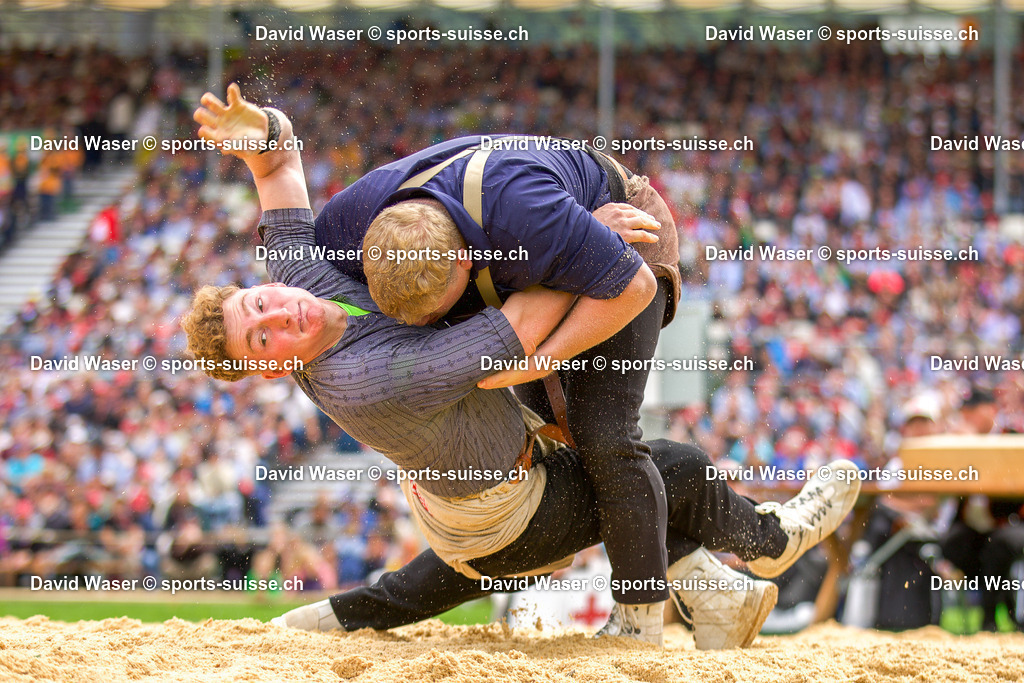 253008 Rogivue Th_o _ - Kundert Elias __ _ L_Eidg. Schwing- und Älplerfest (ESAF) Glarnerland+_ Mollis_ le 30.08.2025 _ sports-suisse.ch _ (3) | 253008 Rogivue Théo * - Kundert Elias ** à L'Eidg. Schwing- und Älplerfest (ESAF) Glarnerland+, Mollis, le 30.08.2025 " sports-suisse.ch "