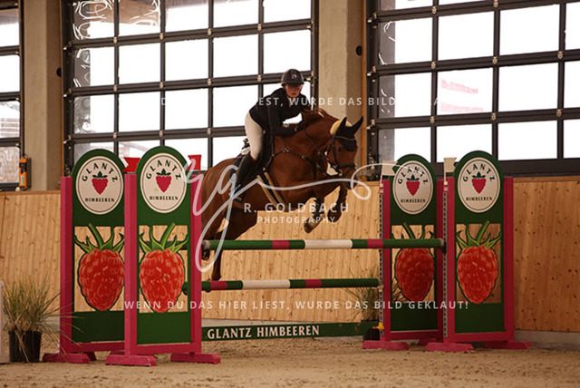 1J2A3520Annelen Heinrich_ Come on Cero_ Kn154_ Hohen Wieschendorf_ Glantz | Foto- und Videografie für alles rund ums Pferd. Hochwertige Bilder und Videos vom Spring- und Dressurreiten, Voltigieren & mehr. Jetzt aktuelle Veranstaltungen und Preise im Shop ansehen. - Realisiert mit Pictrs.com