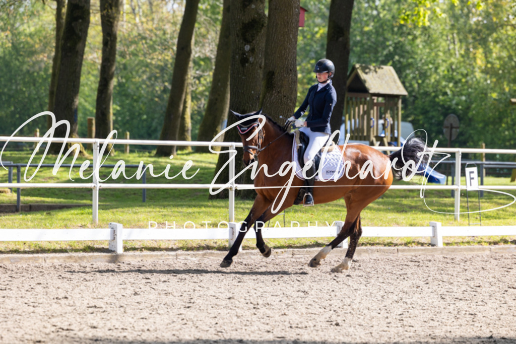 7I8A1392 | melanie-engelhardt-photography - Realisiert mit Pictrs.com
