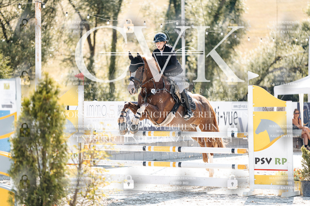 CK907782 | Turnierfotografie Pferdefotografie Trier Rheinland-Pfalz Pferdesport Reitsport Tierfotografie Sportfotografie Pferdevideo Pferdevideografie Equestrianvideography equestrianphotography  - Realisiert mit Pictrs.com