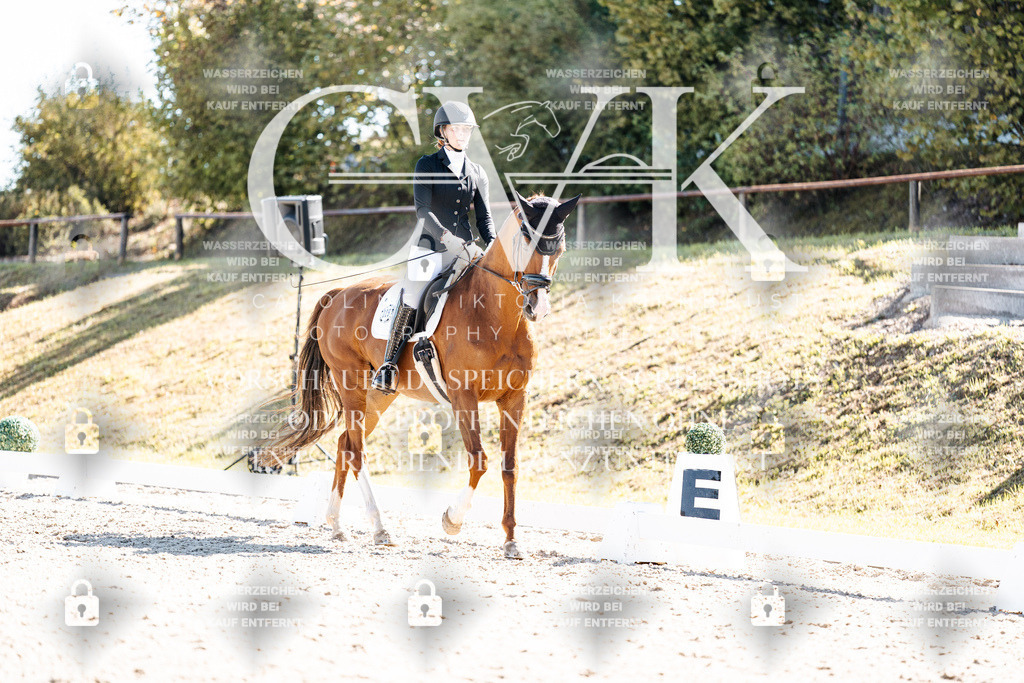 CK909182 | Turnierfotografie Pferdefotografie Trier Rheinland-Pfalz Pferdesport Reitsport Tierfotografie Sportfotografie Pferdevideo Pferdevideografie Equestrianvideography equestrianphotography  - Realisiert mit Pictrs.com