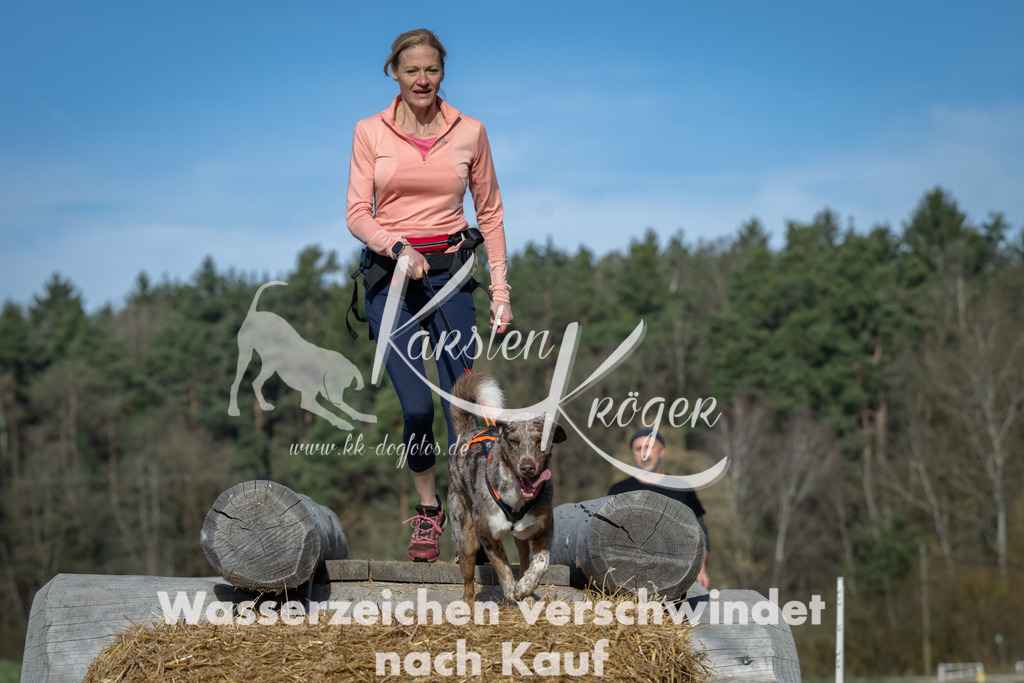 0929_ZZ93562 | kk-dogfotos
