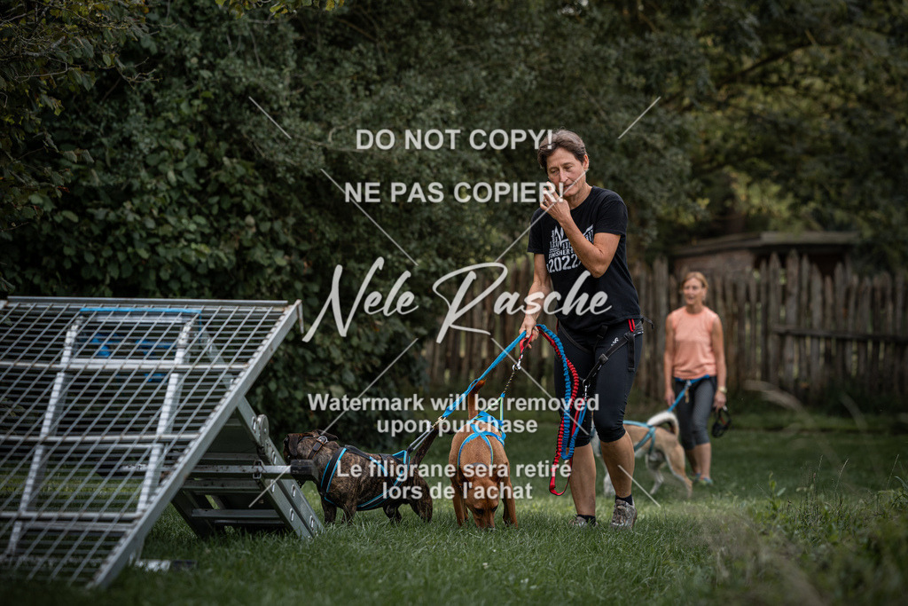 nelerasche_SoLauf_72 | nelerasche