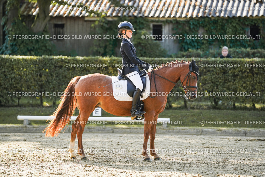 DSC05999 | Pferdegrafie