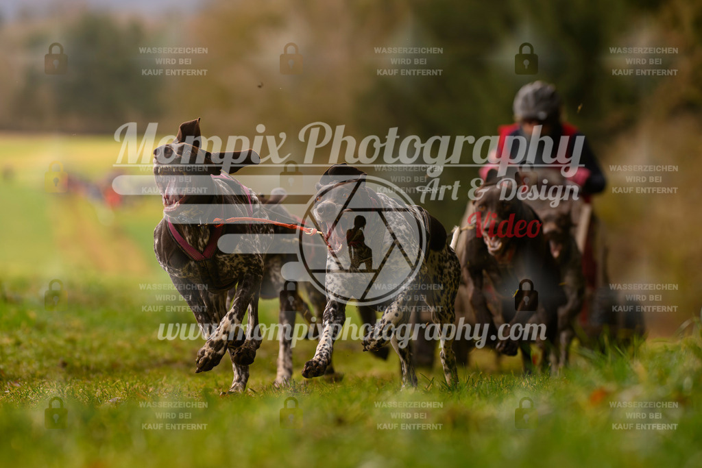MompixPhotography_2SSTSSBW_2025_SO_Kart-40 | PayLife