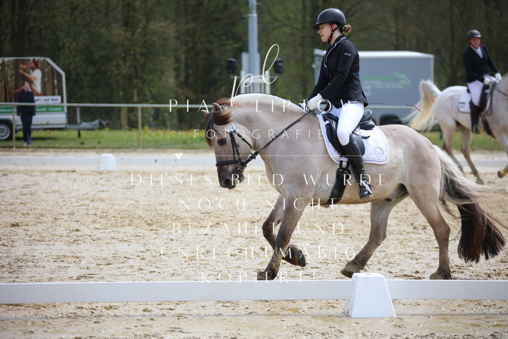 IMGT3257 | pl-fotografie