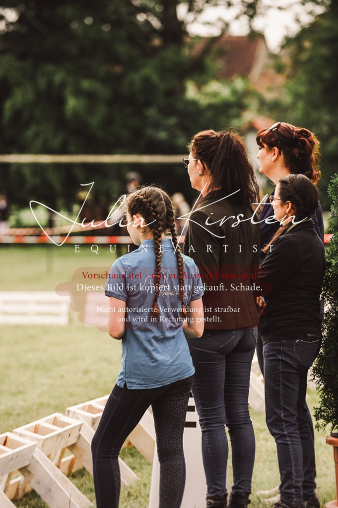 DSC_5200 | Pferde- und Turnierfotografie in Westsachsen. Pferdeportraits, Auftragszeichnungen und intuitive Kunst.
