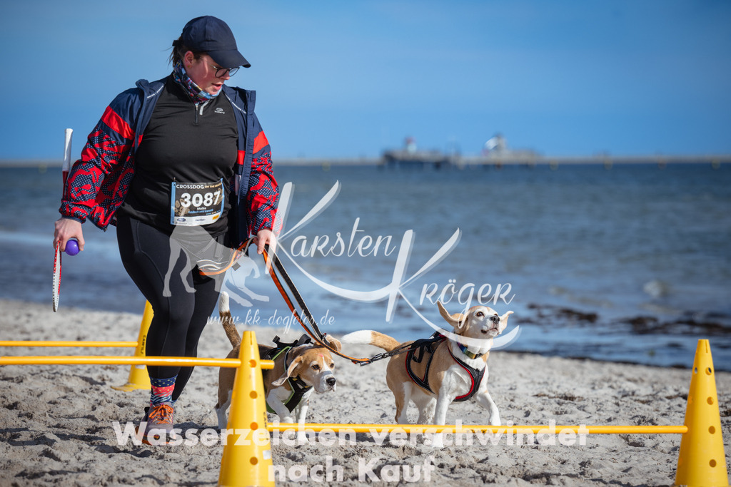 1332_ZZ91820 | kk-dogfotos