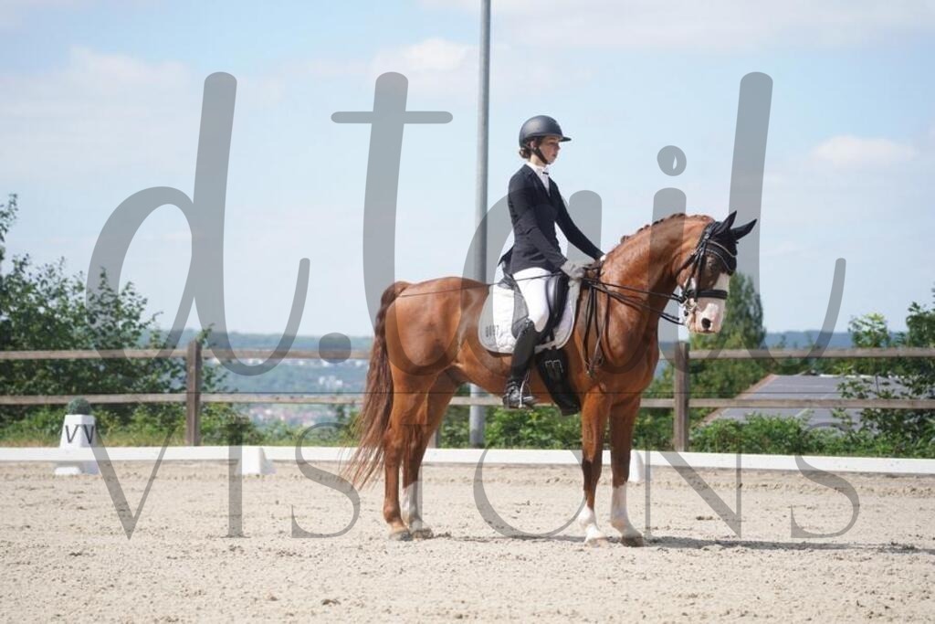 tgbhsonntag (819) | d.tail Visions - Shop - Realisiert mit Pictrs.com