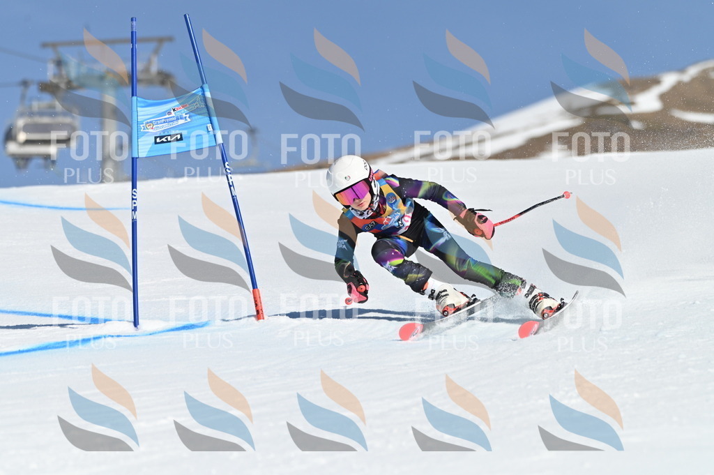 BGV_7796 | holidayphoto