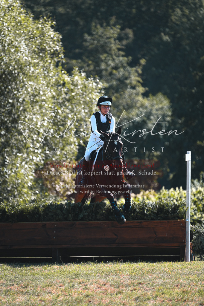 DSC_8215 | Pferde- und Turnierfotografie in Westsachsen. Pferdeportraits, Auftragszeichnungen und intuitive Kunst.
