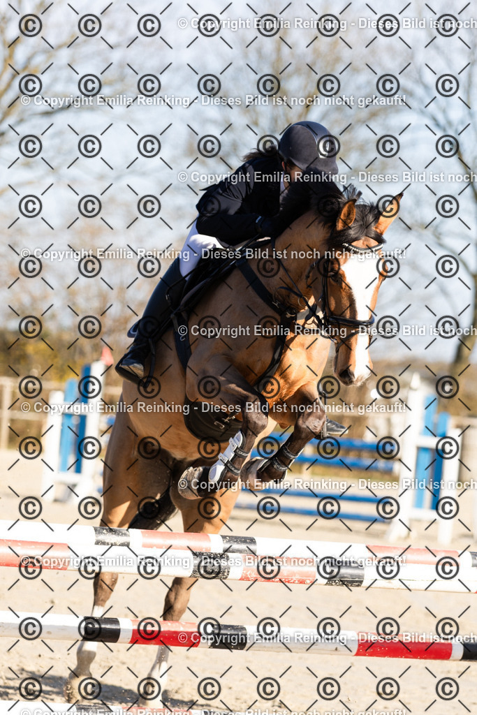 CL5A3339 | Emilia Reinking Fotografie - Realisiert mit Pictrs.com