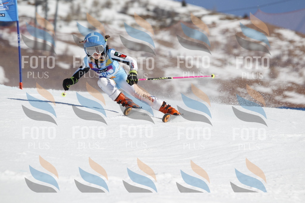 _U3G9733 | holidayphoto