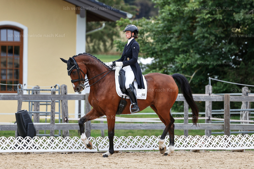 11-048-Dressur S___-StoibPH-1396 | working equitationturnier fotograf videograf stoibphotography marixx film working equitation deutschland reitsport turnierfotografie eventfotografie equestrian events