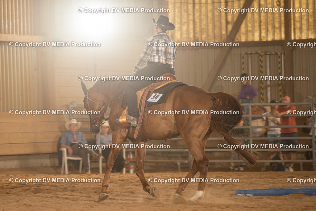 NID03686 | dv-media-shop - Realisiert mit Pictrs.com