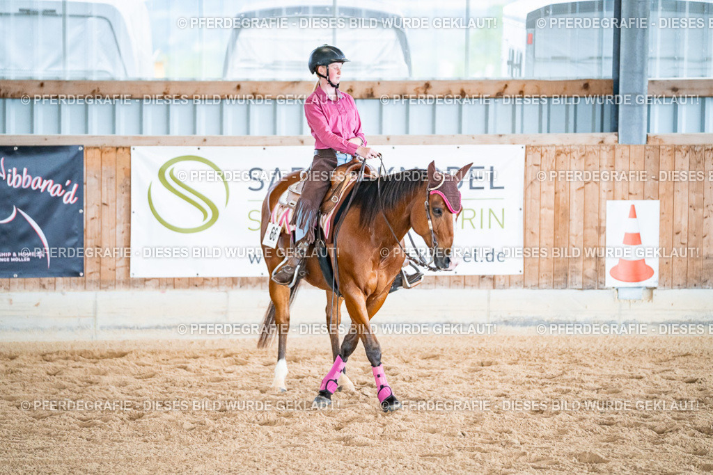 DSC09651 | Pferdegrafie