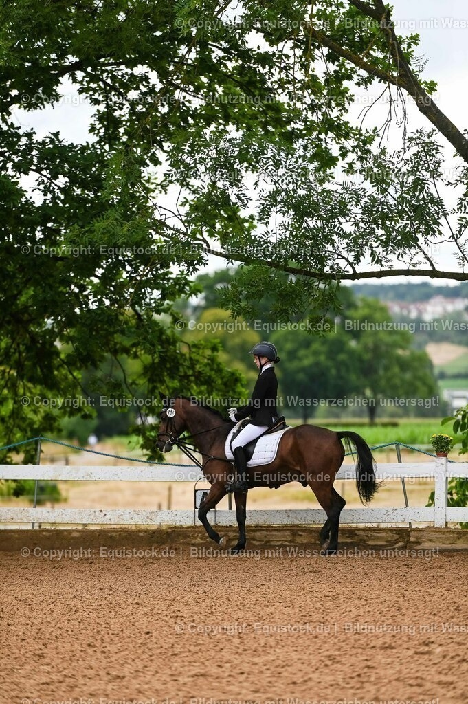 20230716_10-2_Reiter-WB Schritt - Trab - Galopp_0115 | equistock