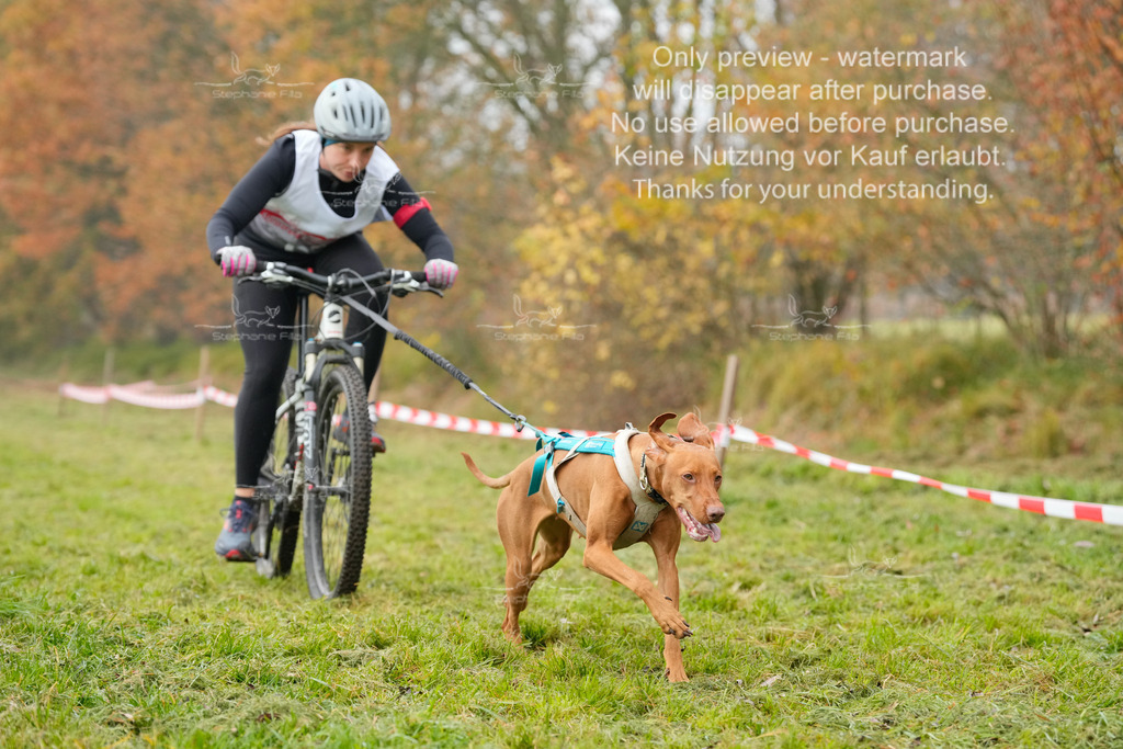 Visbeck_Sa_Bike-175 | stephaniefillaphotographie - Realisiert mit Pictrs.com