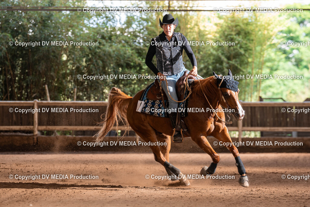 Erbach Tag 2-1002 | dv-media-shop - Realisiert mit Pictrs.com