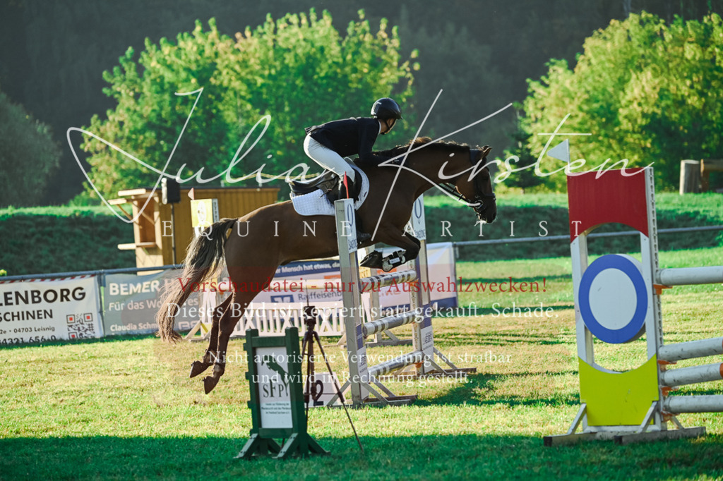 DSC_4104 | Pferde- und Turnierfotografie in Westsachsen. Pferdeportraits, Auftragszeichnungen und intuitive Kunst.