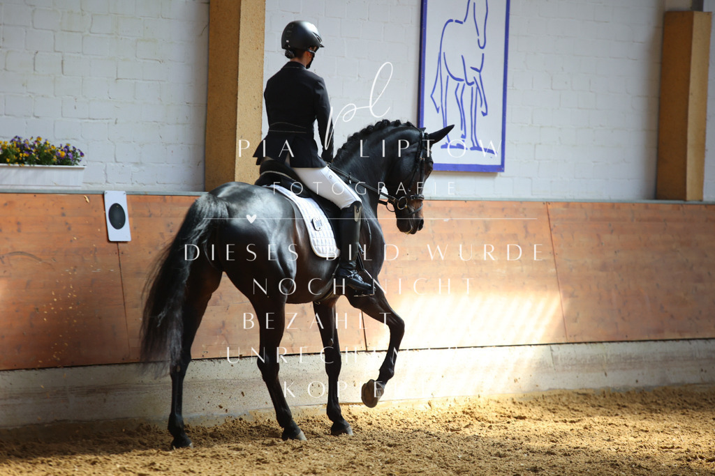 IMGT7059 | pl-fotografie