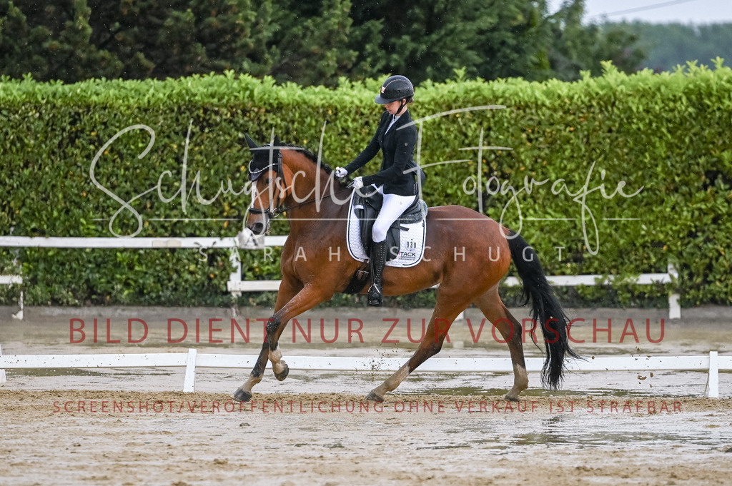 Schugtsche-Aluta25-55.Dressurreiterprf.L1Tr-279 | Schugtsche Fotografie - Realisiert mit Pictrs.com