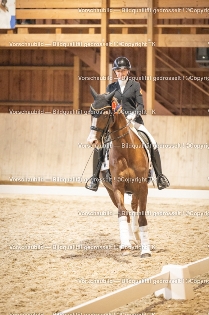 _D5A9904 | Emotionale Pferde- & People-Fotografie rund um Heidelberg, Leimen & Umgebung. Natürliche Fotos von Pferd, Mensch & Familie. Jetzt Termin sichern!