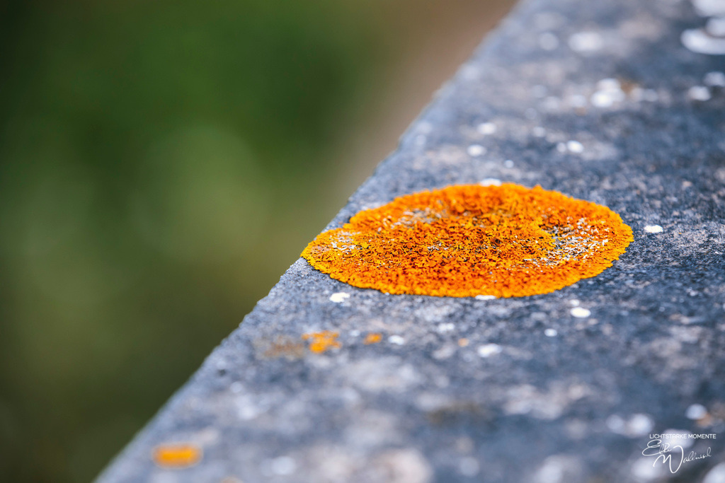 Cala Figuera | Herzlich willkommen auf meiner Seite! Ich bin Elke Wallnisch, Deine Fotografin für lichtstarke Momente. Der Name steht für alles, was mich mit der Fotografie verbindet: Das Licht und seine machtvolle Wirkung auf eine Situation oder unsere Stimmung - Realisiert mit Pictrs.com