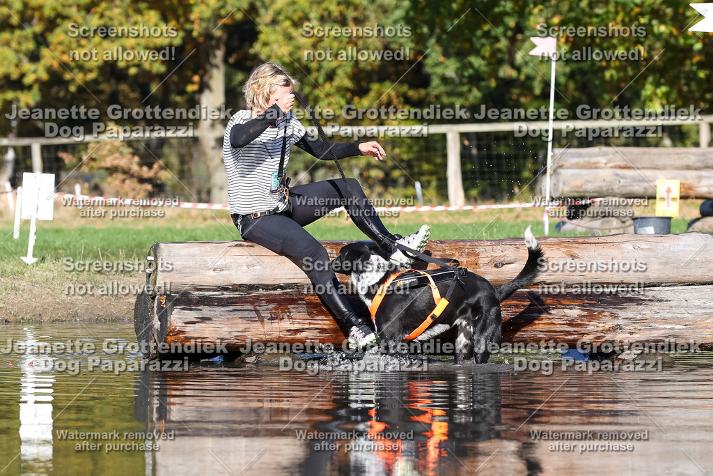 Dog Paparazzi - Strongdog 10-25-8973 | Dog Paparazzi Jeanette Grottendiek Fotografie & Videografie - Realisiert mit Pictrs.com